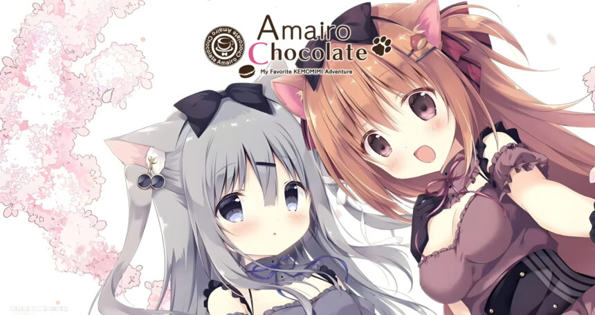 Amairo Chocolata