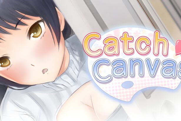 Catch Canvas