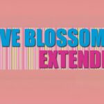 Love Blossom Extended