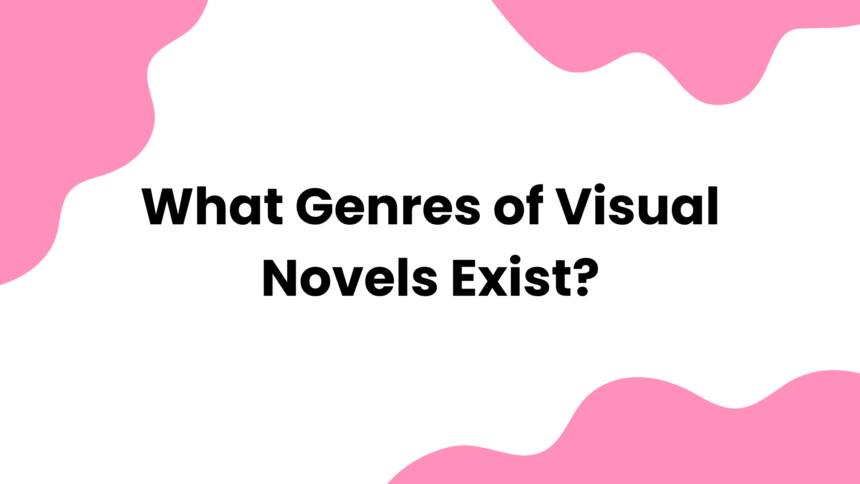What Genres of Visual Novels Exist