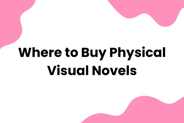 Where to Buy Physical Visual Novels