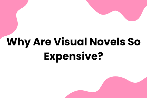 Why Are Visual Novels So Expensive