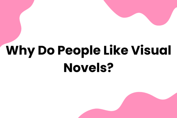 Why Do People Like Visual Novels