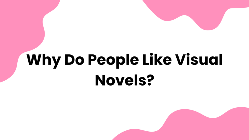 Why Do People Like Visual Novels
